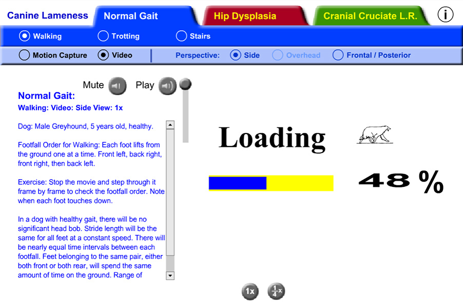 scene showing my animated dog loader for video of normal canine walking