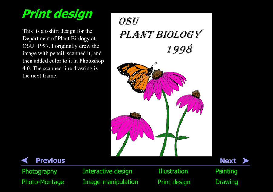 Illustration of Monarch on Purple Cone Flowers